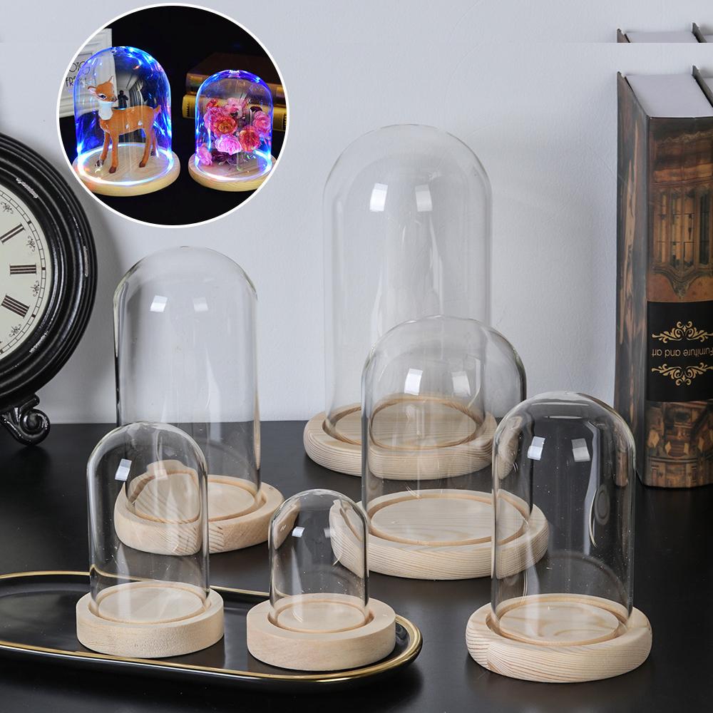Home Decor Flowers - Wohndekor Pflanzen im Glas Terrarium Glasvase
