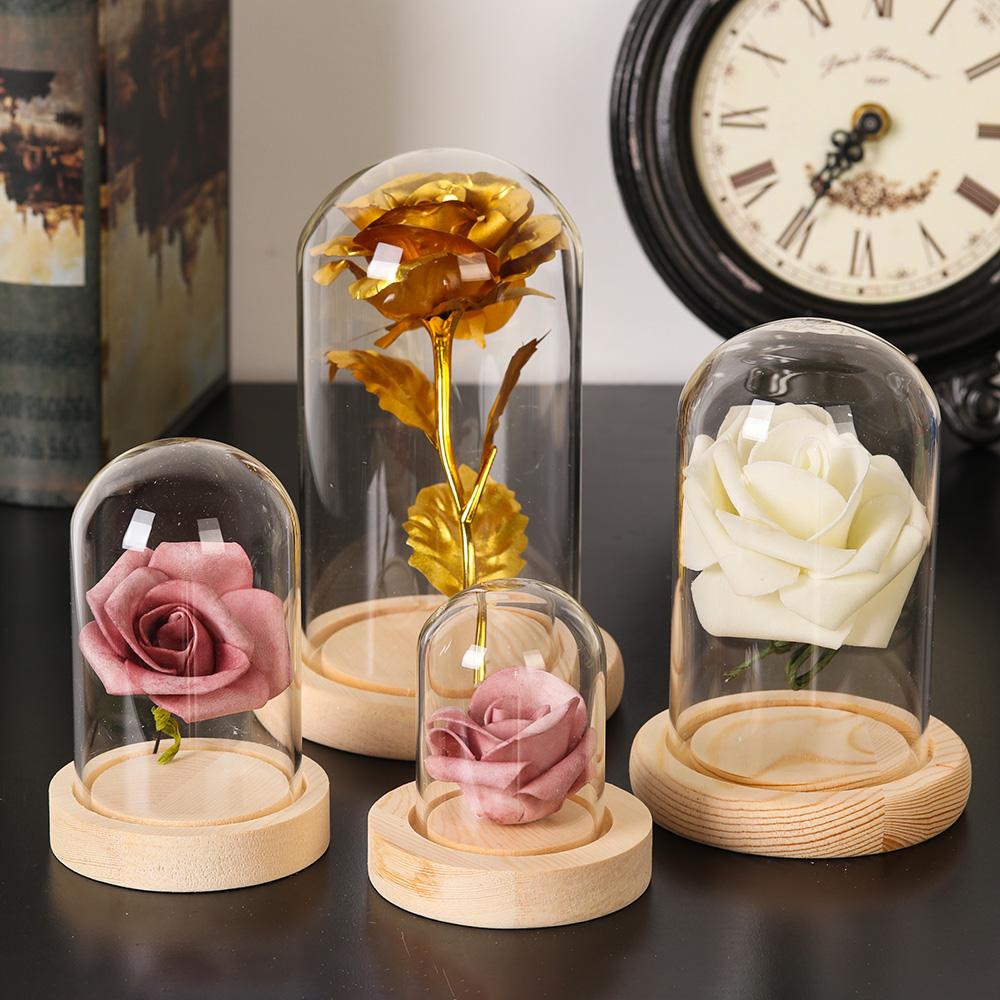 Wohndekor Pflanzen im Glas Ter – Home Decor Flowers Bewertung und Preis