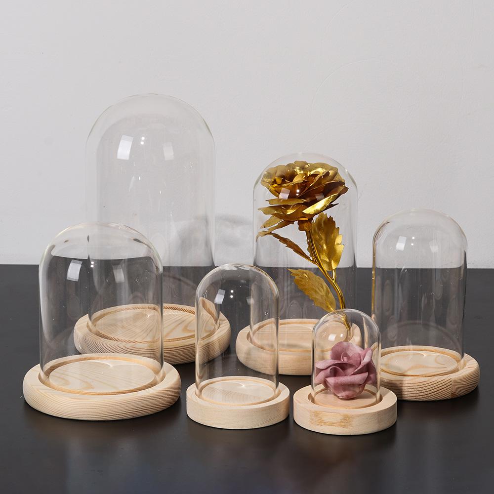 Wohndekor Pflanzen im Glas Ter – Home Decor Flowers Bewertung und Preis
